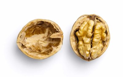 Comment décortiquer des noix facilement ?